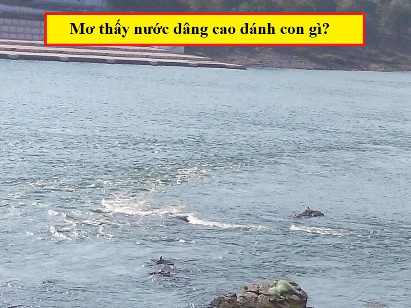 Mơ thấy nước dâng cao đánh con gì? Mơ thấy nước dâng cao đánh con gì?