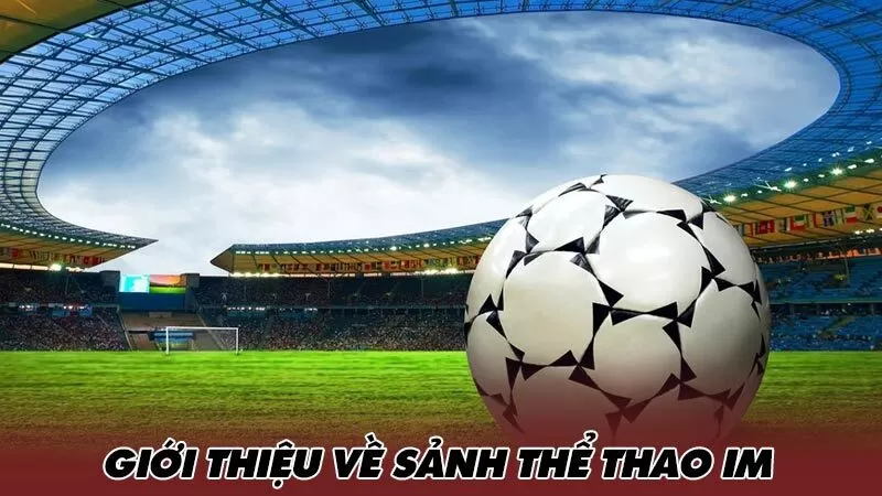 Một vài thông tin về sảnh IM Một vài thông tin về sảnh IM