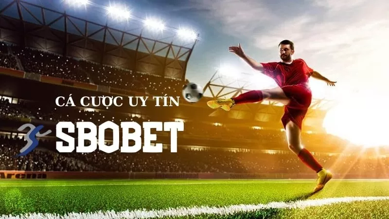 Sảnh cược uy tín, chất lượng Sảnh cược uy tín, chất lượng