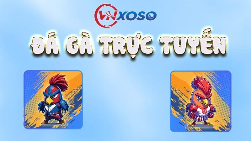 Tìm hiểu về đá gà online Tìm hiểu về đá gà online